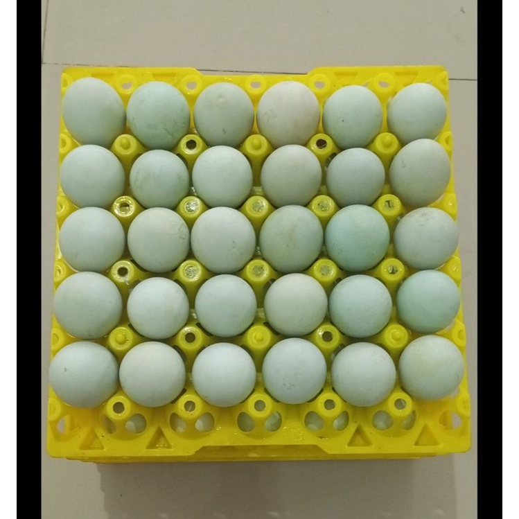 telur asin mentah/telur bebek asin mentah/ rasa di jamin gurih dan masir/free bubble wrap