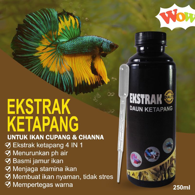 Extrak Daun Ketapang 250ml Super Pekat Untuk Perawatan Ikan Channa Cupang-