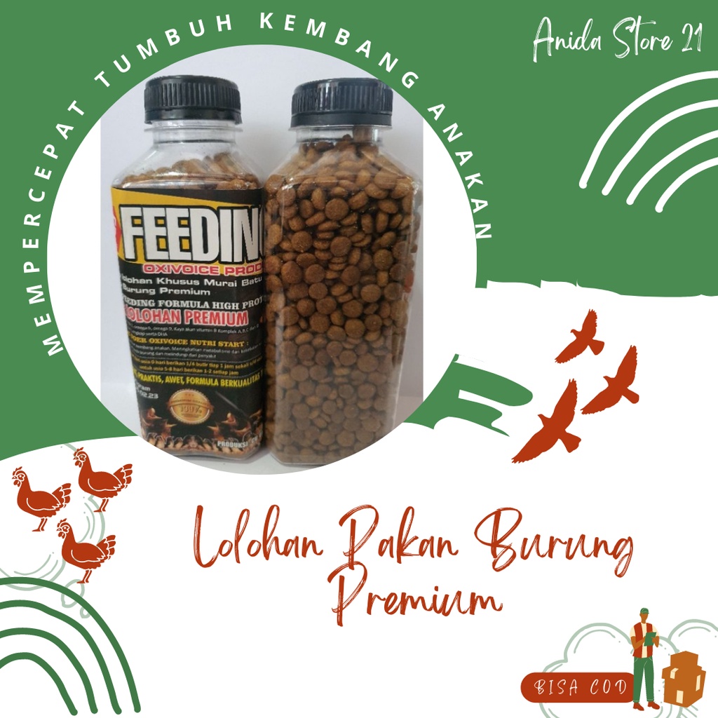 Voer Lolohan Premium Pakan Lolohan Khusus Burung Murai Batu Oxivoice Feeding