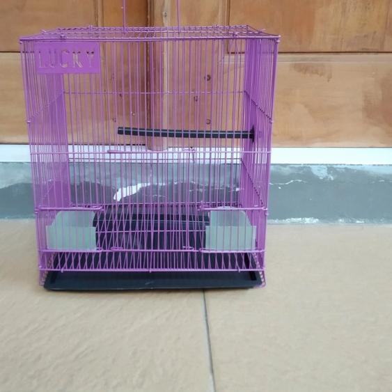 Kandang Sangkar Burung Lovebird Hamster Kecil Merk Lucky Khusus Biru - Ungu