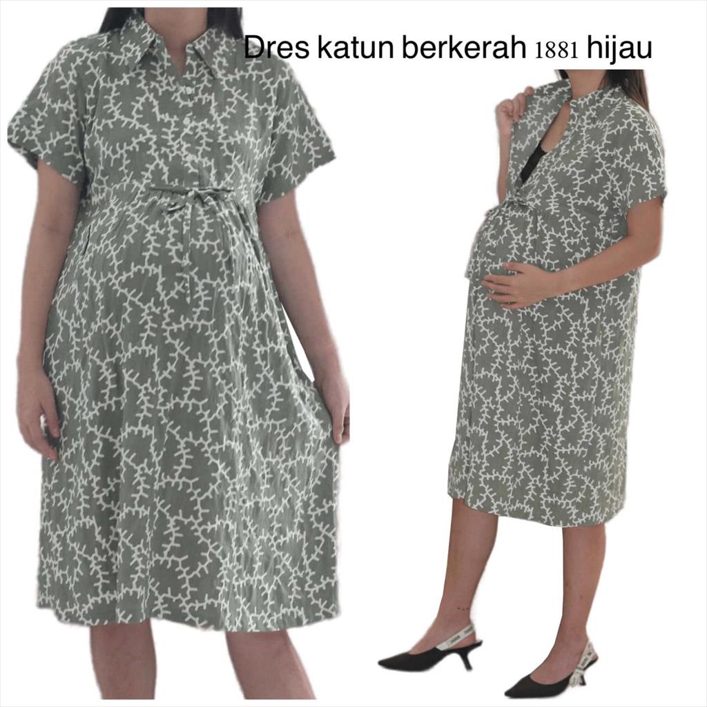 Dress Katun Berkerah 1881