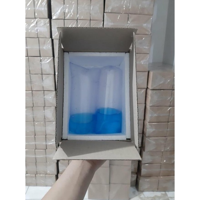 Box Packing Ikan Cupang Type B (1 Ball isi 16 Pcs)