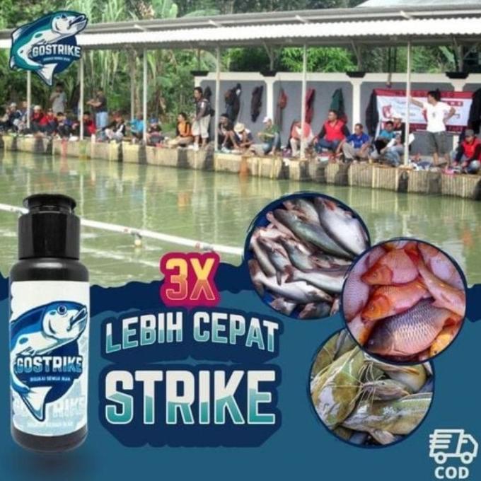 Gostrike essen mancing lebih cepat strike / Go Strike essen mancing