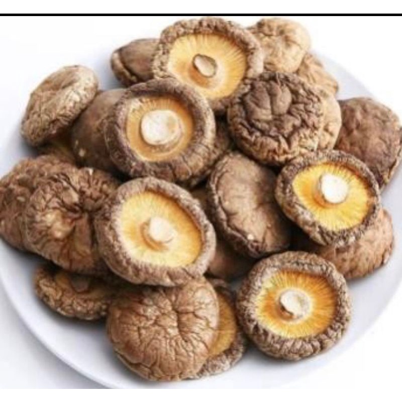 

Jamur Hioko besar kering 100 gram