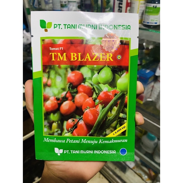 Benih tomat tm blazer f1 isi 3000 biji
