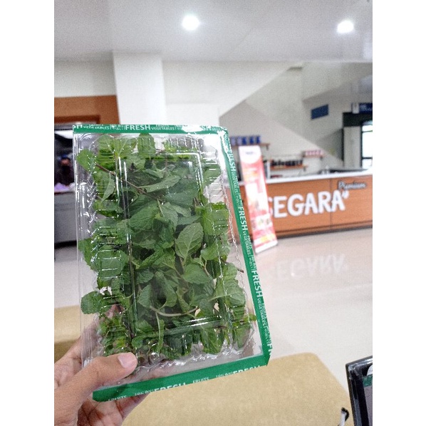 

Daun Mint Segar