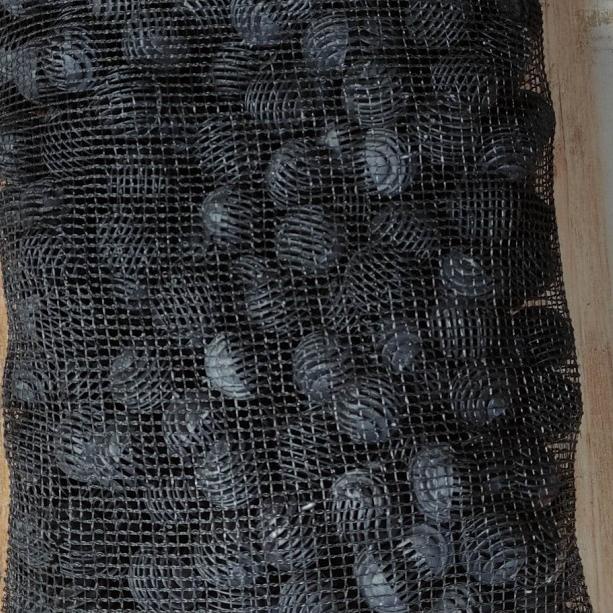 Bioball untuk filter kolam koi