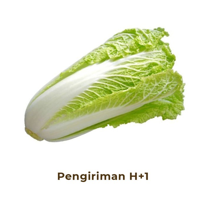 Sawi Putih Segar
