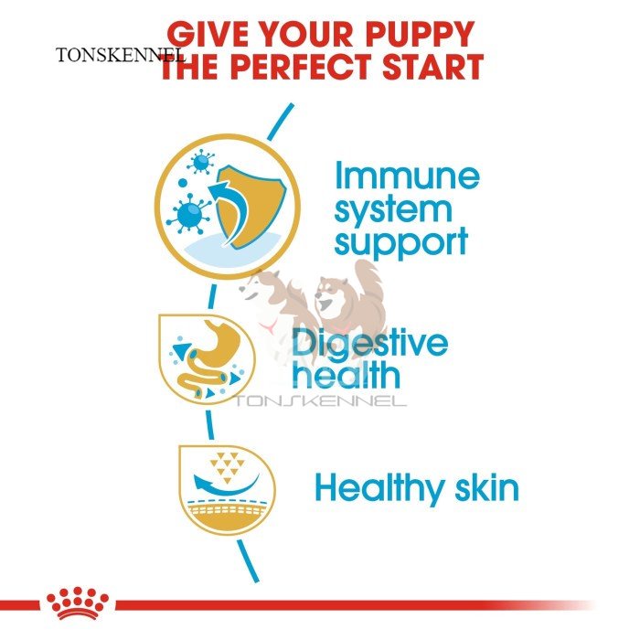 Royal Canin French Bulldog Junior Puppy Makanan Anak Anjing Dry 3kg rc