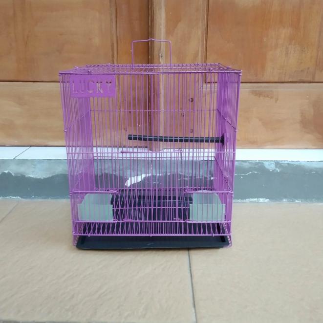 Kandang Sangkar Burung Lovebird Hamster Kecil Merk Lucky Khusus Biru - Ungu