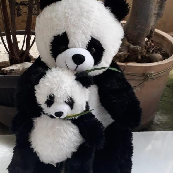 Boneka panda besar
