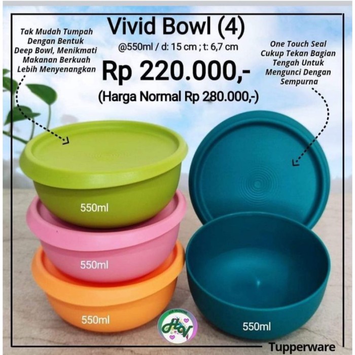 Vivid Bowl Tupperware 4Pcs