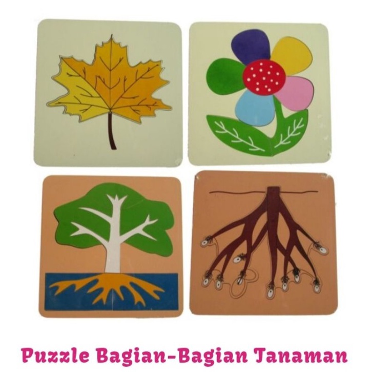 Mainan Edukasi Puzzle Bagian-bagian Tanaman