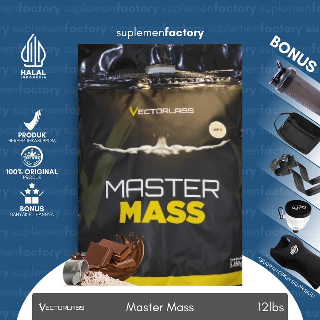 Vectorlabs Master Mass 12 Lbs Gainer Weight Gainer Mass Gainer Mastermass