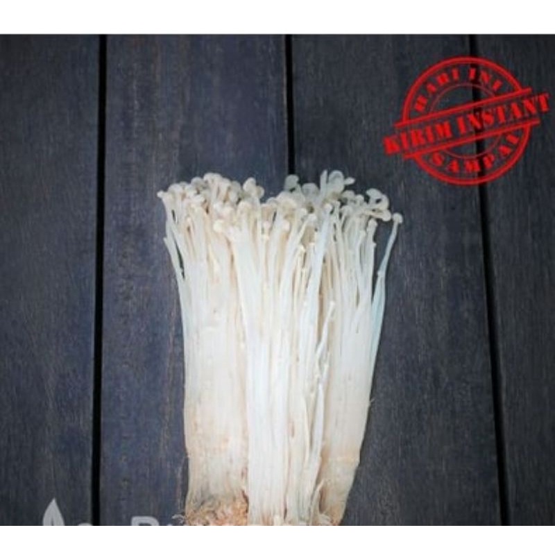 

Jamur Enoki / Enokitake [1 pack]