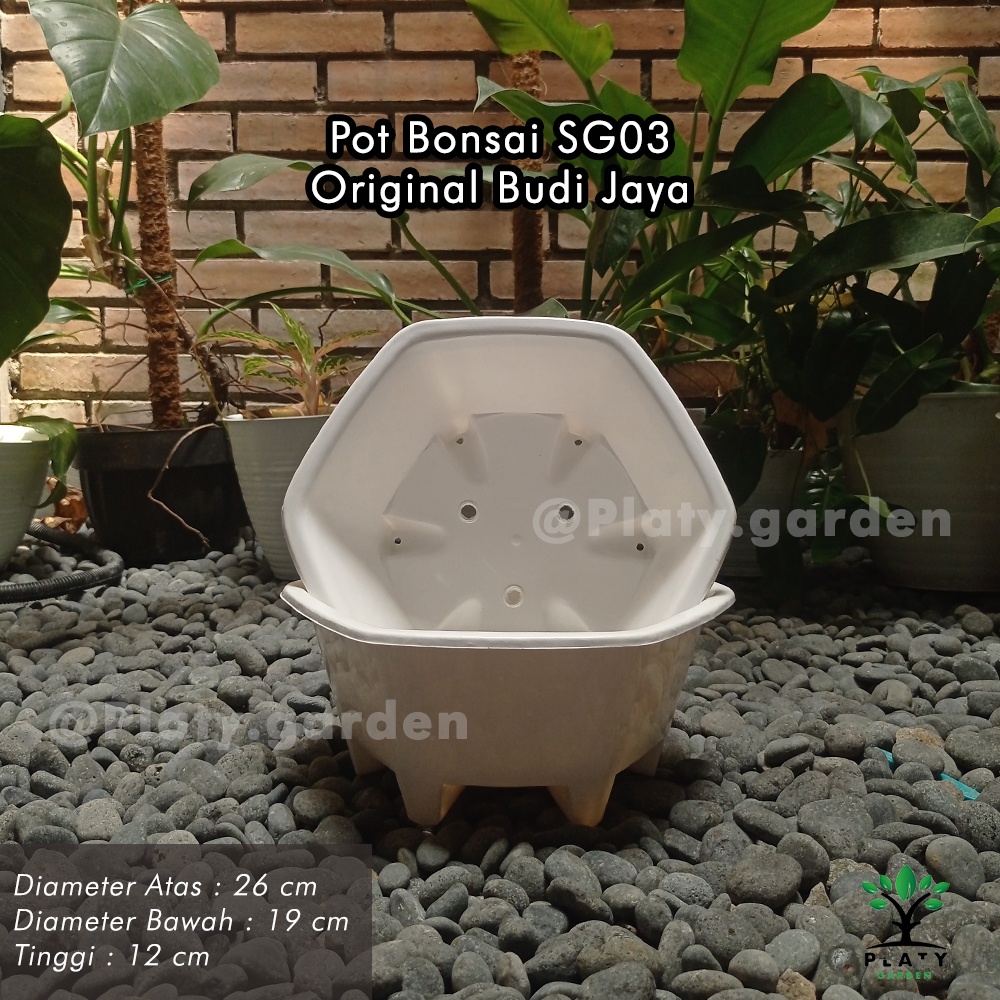 Pot Bonsai SG-03 | Pot Bonsai Ceper | Pot Tanaman Budi Jaya