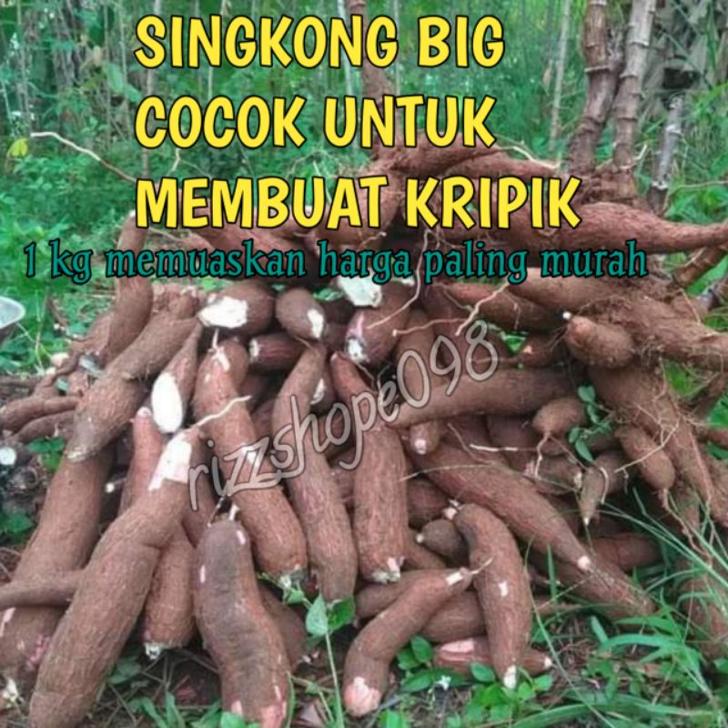 

singkong/sampe besar dan panjang cocok untuk membuat kripik