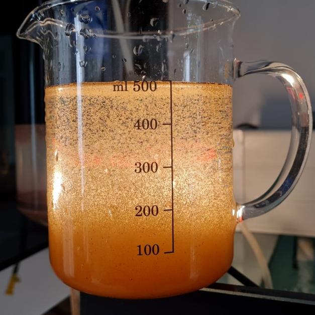 ARTEMIA SIENNA BY FISHOWNER 50G BIG RED - ARTEMIA TETAS