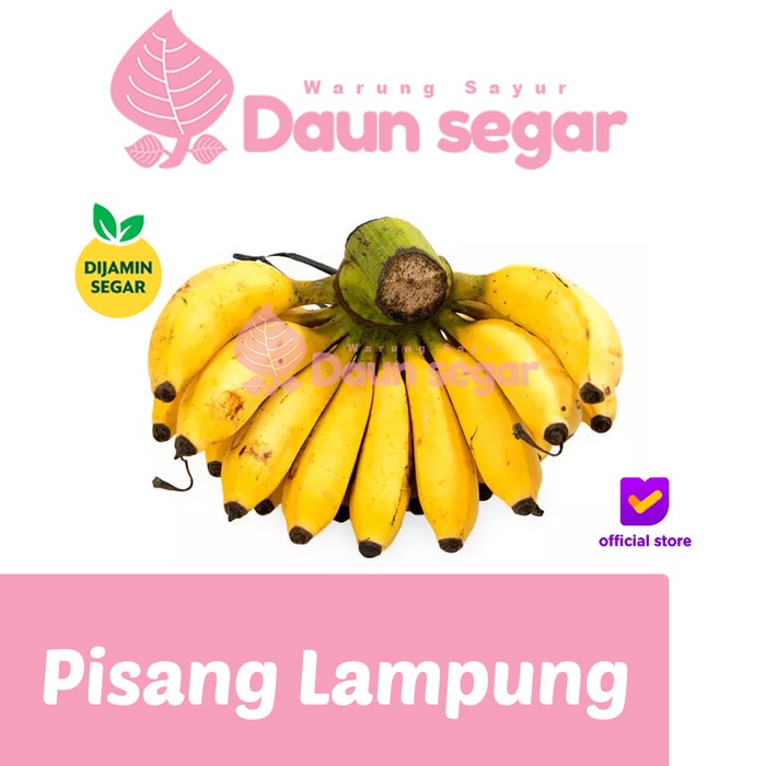 

Pisang Lampung Segar Pisang Lampung 1 sisir - Pisang Hajatan