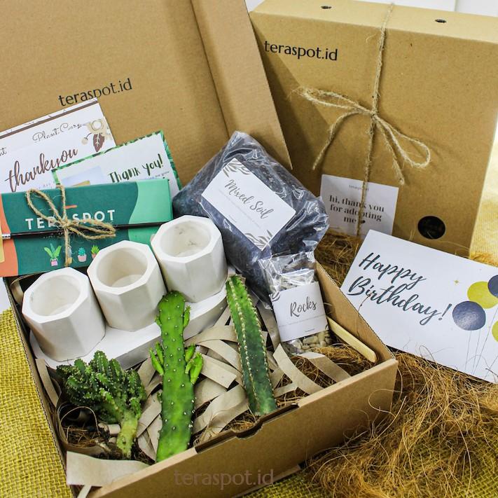 

➲ Painting kit & Planting Kit Kaktus Sukulen DIY Mewarnai Pot untuk Hampers / Hadiah / Souvenir /kado ヲ