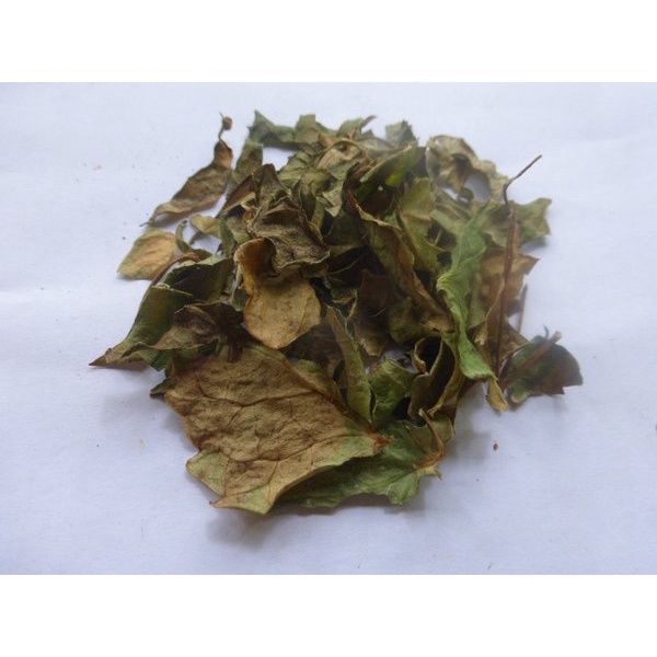 

DAUN MANGKOKAN KERING 100GR
