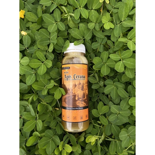 

madu apis cerana lokal menoreh 350 gram