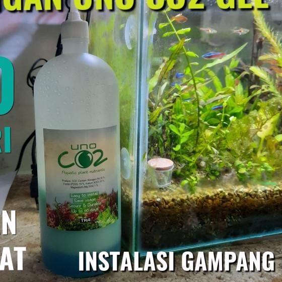 UNO CO2 gel CO2 + Fertilizer Aquascape Paket Lengkap