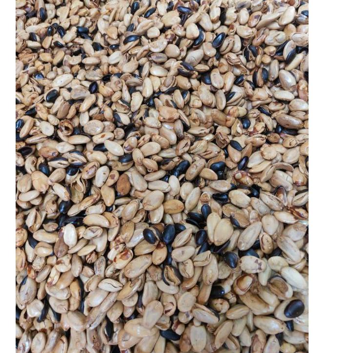 

↰ BIJI KEDAWUNG PREMIUM SIAP MAKAN 500GR NK321