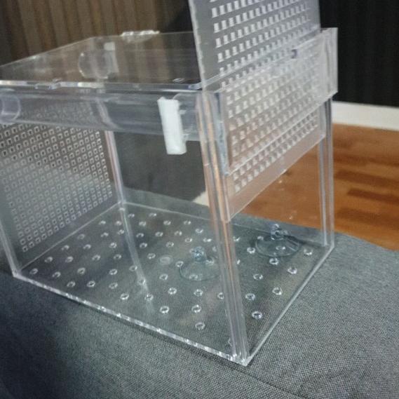 Box kotak acrylic akrilik karantina / aklimasi ikan P 23 L 13 T 15