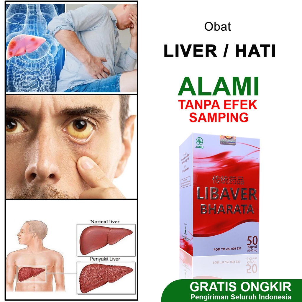 Jual LIBAVER BHARATA - Obat Liver & Hepatitis A B Paling Ampuh Kemasan ...