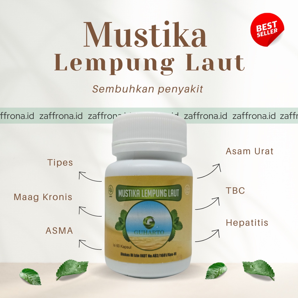 MUSTIKA LEMPUNG LAUT - SPESIALIS DETOX HERBAL MENGATASI MAAG KRONIS, GASTRITIS DAN GERD (100% ORIGIN