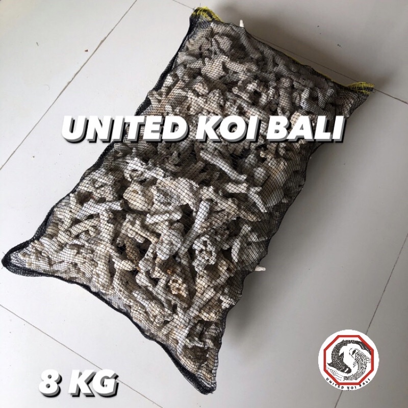 KERANG JAHE MEDIA FILTER KOLAM IKAN KOI KANTONG BESAR MEDIA FILTER Kantong XL