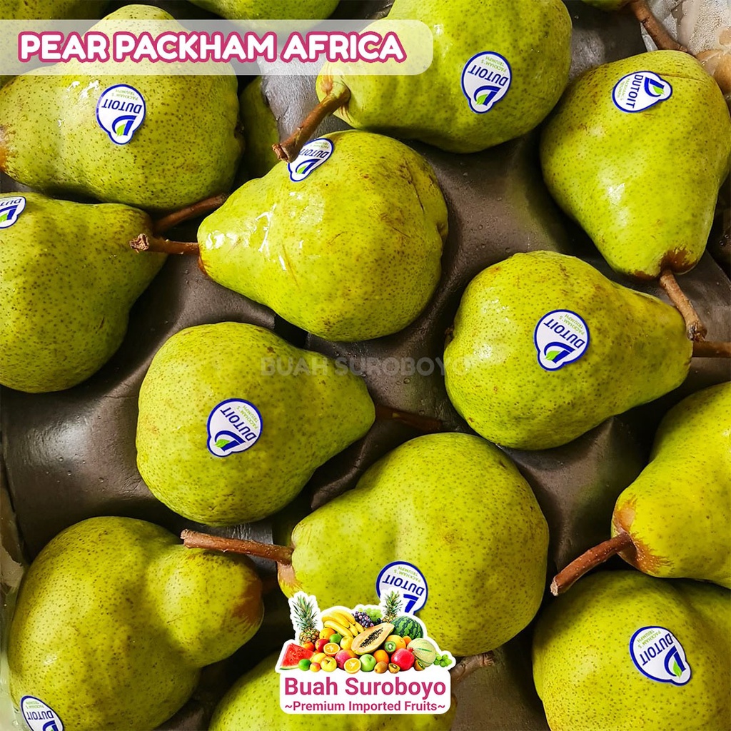 

Pear Packam