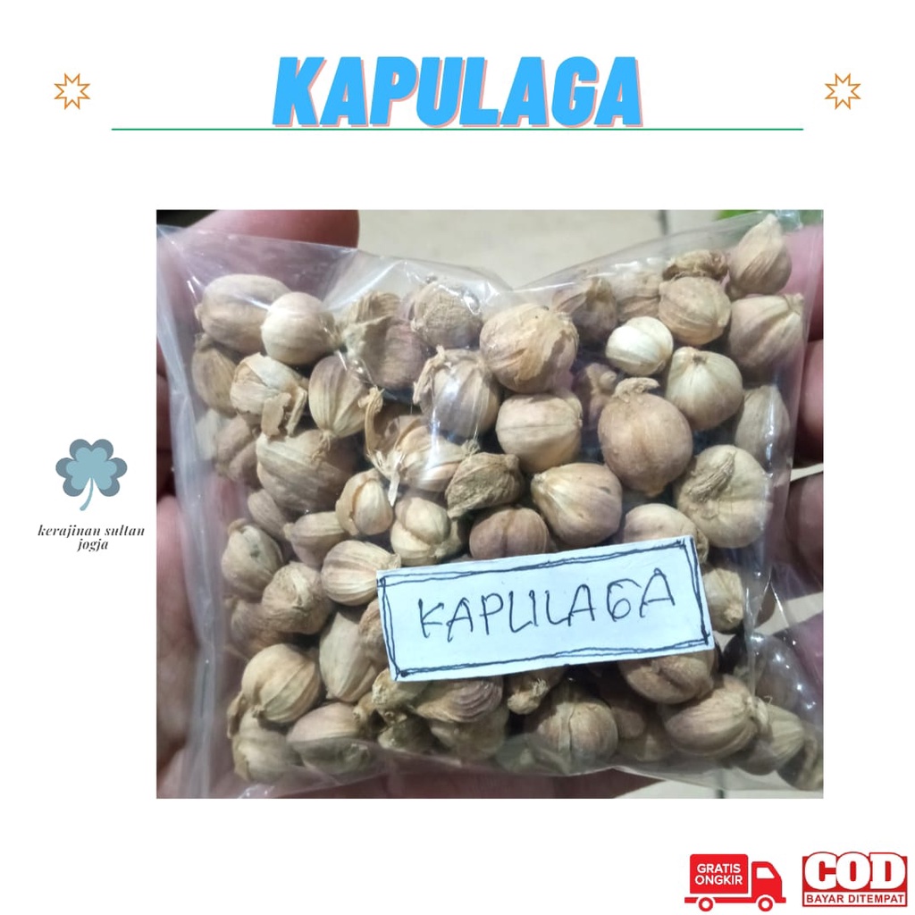 

KAPULAGA KERING 1 ONS PREMIUM