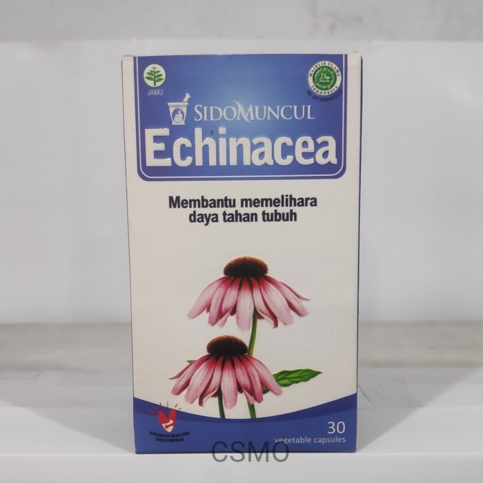 Echinacea sidomuncul