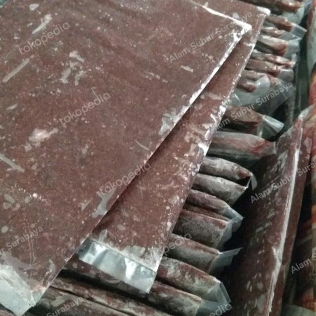 Cacing Darah Beku/ Frozen Bloodworm