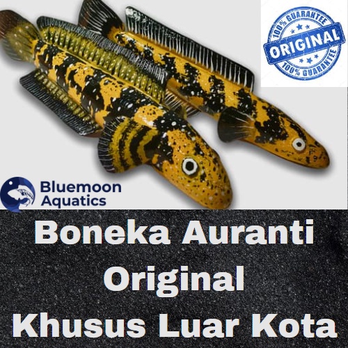 PATUNG BONEKA UNTULAN CHANNA CHANA CANA