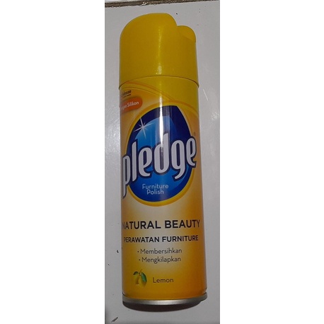 Pledge Aerosol Spray 160GR