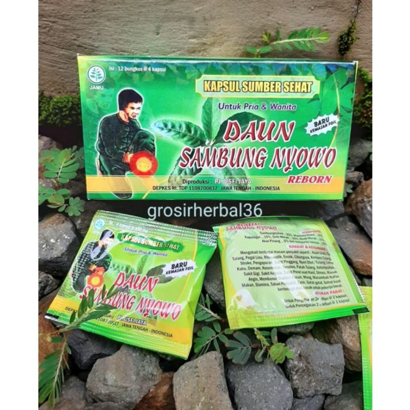 

Daun Sambung Nyawa Original