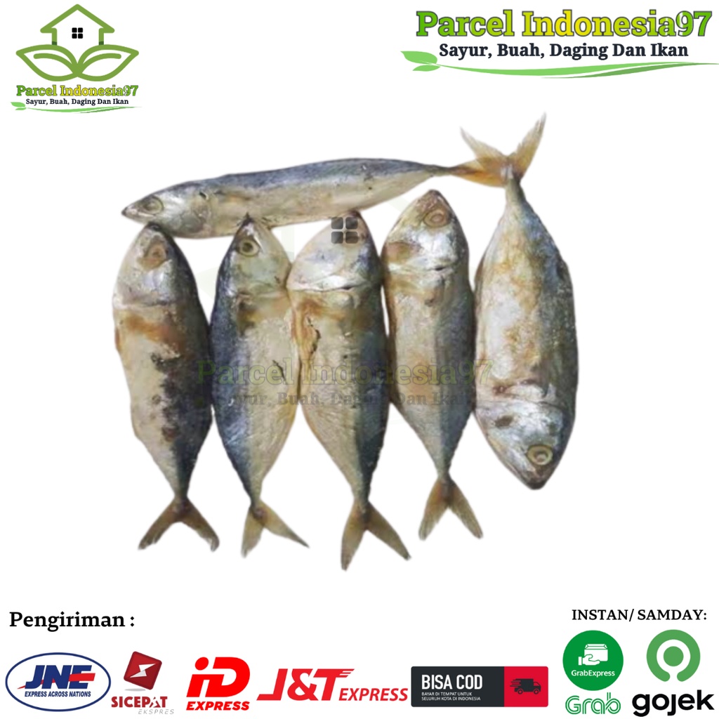 

ikan asin PEDA PUTIH kembung