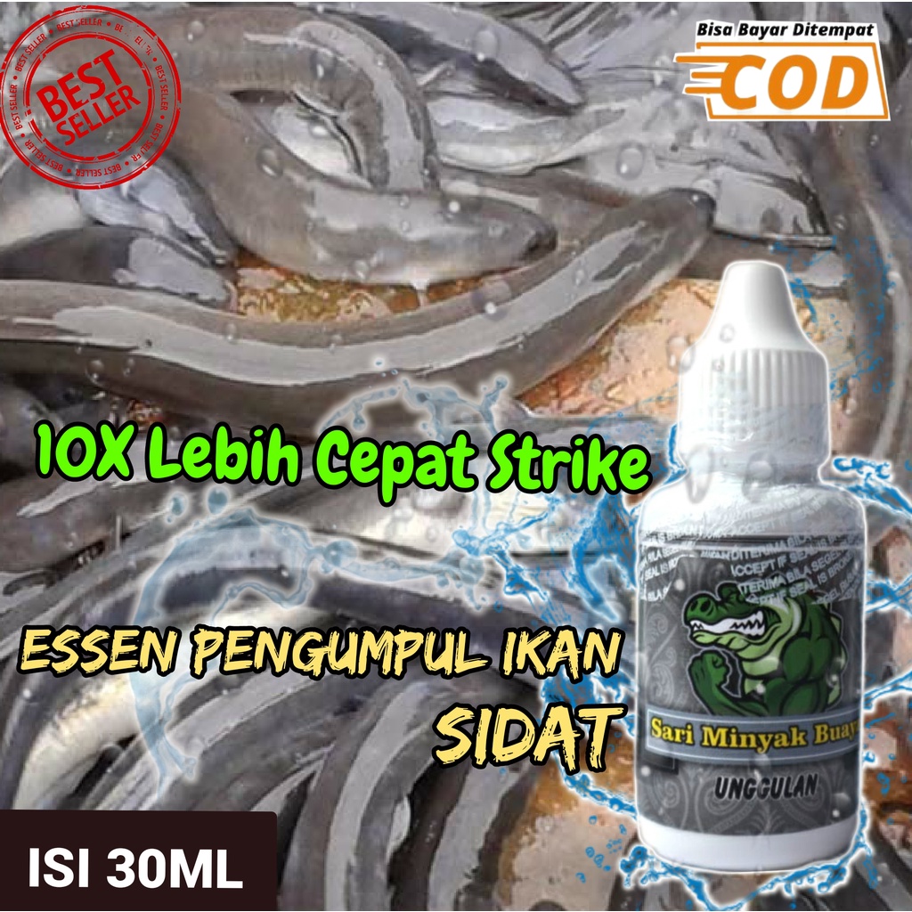 [ BISA COD ] Essen Untuk Ikan Sidat Susah Makan Isi 30ml/Essen Siap Pakai Untuk Ikan Sidat/Essen Unt