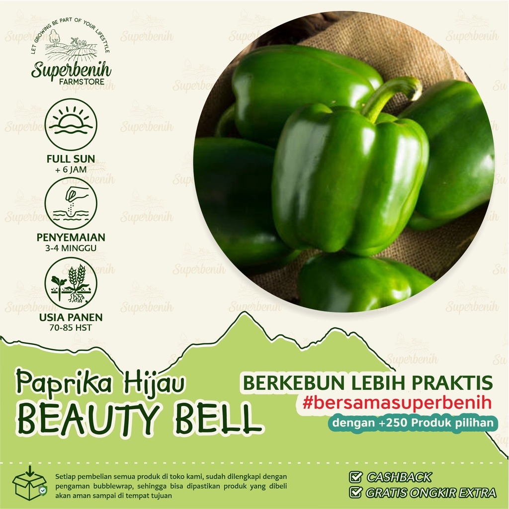 5 Biji - Benih Paprika Hijau BEAUTY BELL cocok untuk tabulampot