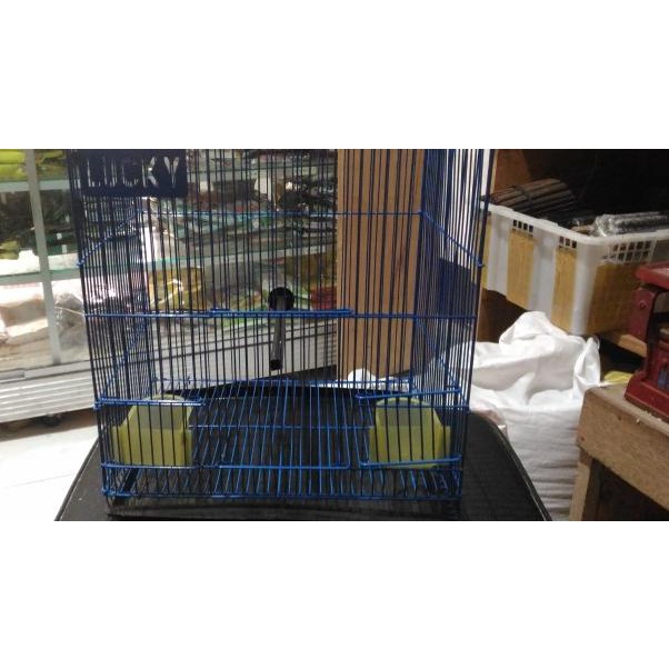 kandang kotak kecil lovebird