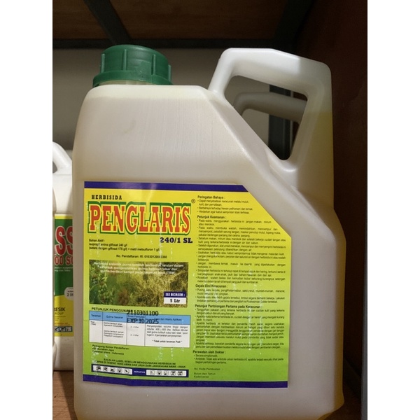 Herbisida Sistemik (sejenis Roundup) PENGLARIS 240/1 SL 5 liter