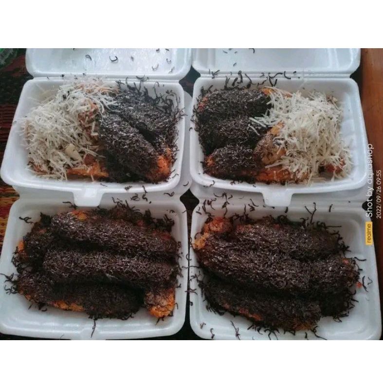 

picok lumer/piscok lumer/pisang coklat lumer/coklat lumer