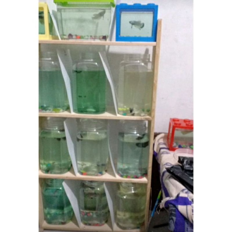 RAK IKAN CUPANG/RAK SERBAGUNA