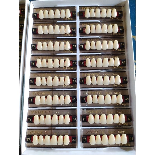 Gigi palsu Synthetic/Anterior/gigi depan