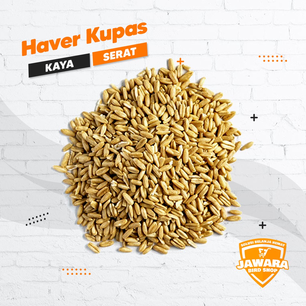 HAVER KUPAS IMPORT PAKAN BURUNG KENARI LOVEBIRD