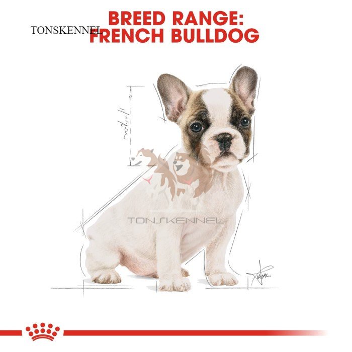 Royal Canin French Bulldog Junior Puppy Makanan Anak Anjing Dry 3kg rc