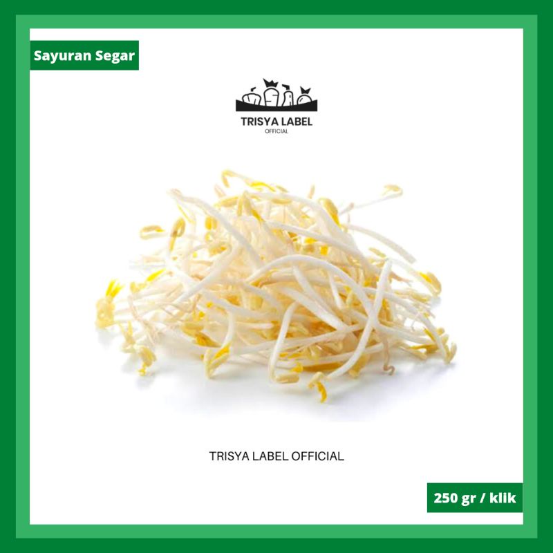 

250gr Tauge Segar | Sayur Online | TRISYALABEL